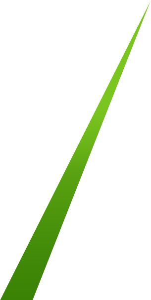shape-3